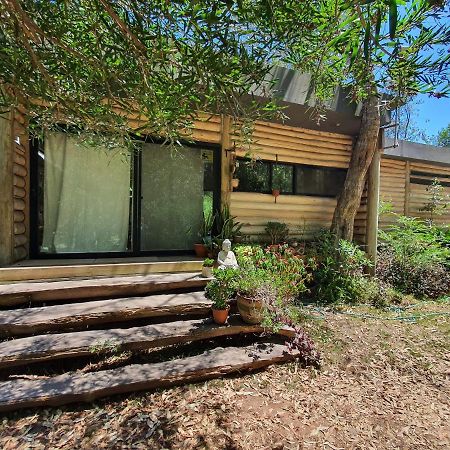 Chalet Los Troncos Sauce de Portezuelo Exterior photo