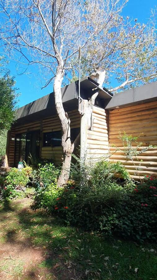 Chalet Los Troncos Sauce de Portezuelo Exterior photo